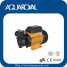 Vortex pump,Peripheral pump,Surface pump DB125 (Вихревой насос, Вихревой насос, Поверхностный насос DB125)