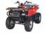 ELECTRIC ATV 10HP (ELECTRIC VTT 10HP)